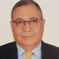 Hesham Negm